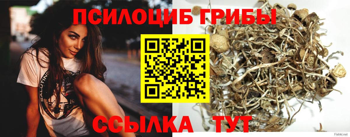 Валуйки  Псилоцибиновые грибы мухоморы  Вход с VPN 
